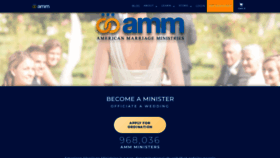 What Theamm.org website looked like in 2023 (This year)