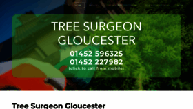 What Treesurgeongloucester.com website looked like in 2023 (This year)