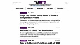 What Tidbits.com website looked like in 2023 (This year)