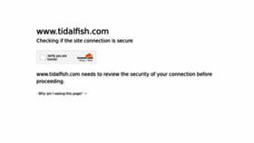 What Tidalfish.com website looked like in 2023 (This year)