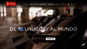 What Textillapaz.com website looked like in 2023 (This year)