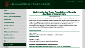 What Texascountyauditors.org website looked like in 2023 (This year)