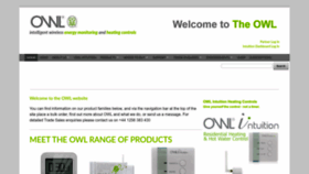 What Theowl.com website looked like in 2023 (This year)