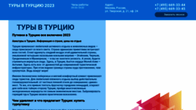 What Turkey-tours-23.ru website looked like in 2023 (This year)