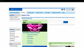 What The-pregnancy.net website looked like in 2023 (This year)