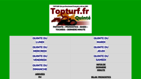 What Topturf.fr website looked like in 2023 (This year)
