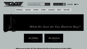 What Topairgun.com website looked like in 2023 (This year)
