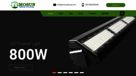 What Triprooflamp.com website looked like in 2023 (This year)