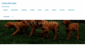 What Tiszataji.hu website looked like in 2023 (This year)