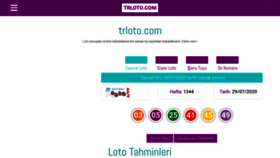 What Trloto.com website looked like in 2023 (This year)