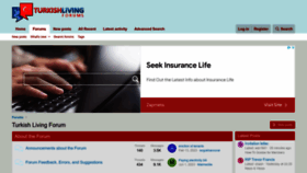 What Turkishliving.com website looked like in 2023 (This year)
