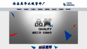 What Twinsking.cn website looked like in 2023 (This year)