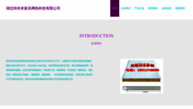 What Tmmjiaju.com website looked like in 2023 (This year)