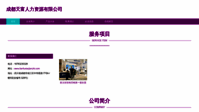 What Tianfuxiaojianzhi.com website looked like in 2023 (This year)