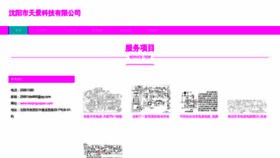 What Tianjingcaipan.com website looked like in 2023 (This year)