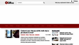 What Top.cz website looked like in 2023 (This year)
