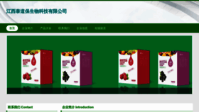 What Taidaobao.com website looked like in 2023 (This year)