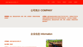 What Tianxinyatou.com website looked like in 2023 (This year)