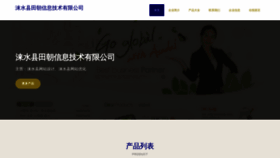 What Tianzhaopay.com website looked like in 2023 (This year)