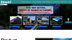 What Teseidg.com website looked like in 2023 (This year)