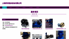 What Tianzewulian.com website looked like in 2023 (This year)