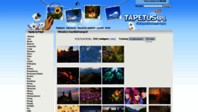 What Tapetus.pl website looked like in 2023 (This year)