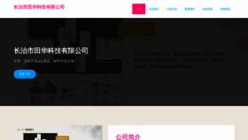 What Tianhuapp.com website looked like in 2023 (This year)