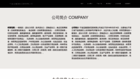 What Tiaodaili.com website looked like in 2023 (This year)