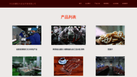What Tianshanzhixing.com website looked like in 2023 (This year)