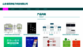 What Tianrundianzikeji.com website looked like in 2023 (This year)