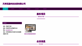 What Tjzhirui.com website looked like in 2023 (This year)