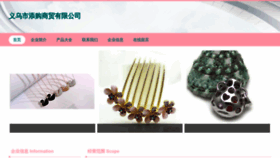 What Tiantiangoushop.com website looked like in 2023 (This year)