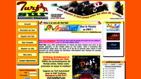What Turfsur.com website looked like in 2023 (This year)