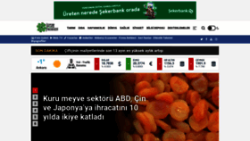 What Tarimpusulasi.com website looked like in 2023 (This year)