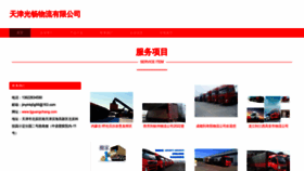 What Tjguangchang.com website looked like in 2023 (This year)