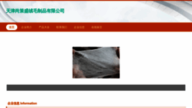 What Tjshangce.com website looked like in 2023 (This year)