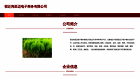 What Taozhimai.top website looked like in 2023 (This year)