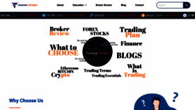 What Tradingcritique.com website looked like in 2023 (This year)