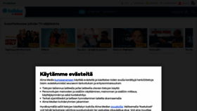 What Telkku.net website looked like in 2023 (This year)