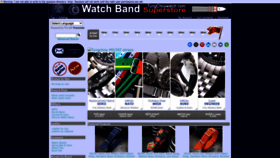 What Tungchoywatch.com website looked like in 2023 (This year)