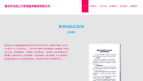 What Thebyou.cn website looked like in 2023 (This year)