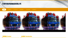 What Tiegeer.cn website looked like in 2023 (This year)