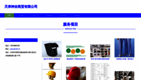 What Tjs123.cn website looked like in 2023 (This year)
