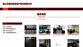 What Topcampus.cn website looked like in 2023 (This year)