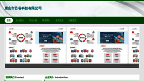 What Tscamgd.cn website looked like in 2023 (This year)