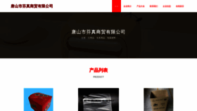 What Tsfzll.cn website looked like in 2023 (This year)