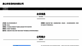 What Tsyin.cn website looked like in 2023 (This year)