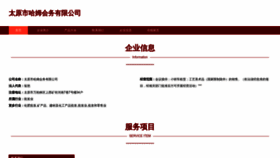 What Ty741.cn website looked like in 2023 (This year)