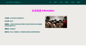 What Tyaxs.cn website looked like in 2023 (This year)