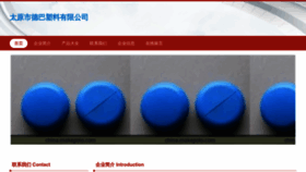 What Tydba.cn website looked like in 2023 (This year)